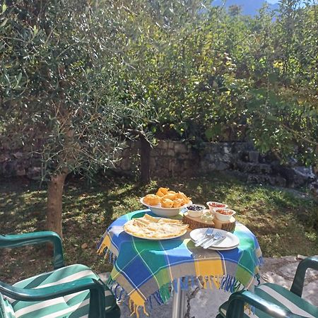 Dolce Notte Rooms Virpazar Bagian luar foto